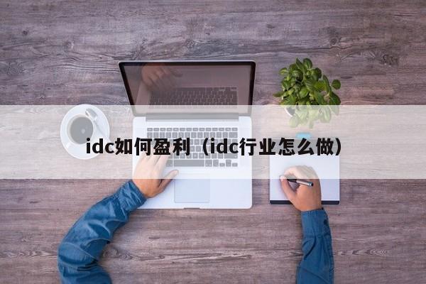 idc如何盈利（idc行业怎么做）