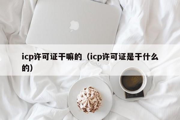 icp许可证干嘛的（icp许可证是干什么的）