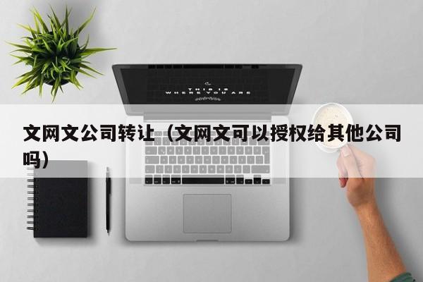 文网文公司转让（文网文可以授权给其他公司吗）