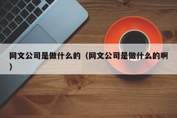 网文公司是做什么的（网文公司是做什么的啊）