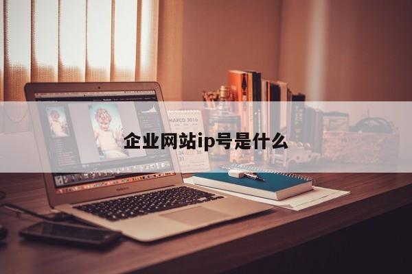 企业网站ip号是什么