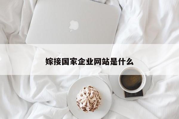 嫁接国家企业网站是什么