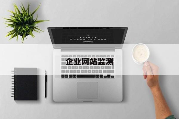 企业网站监测