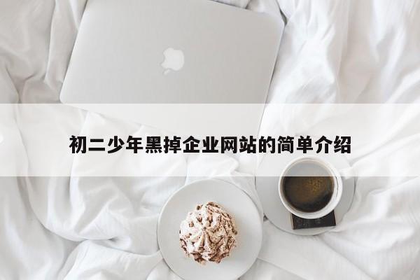 初二少年黑掉企业网站的简单介绍