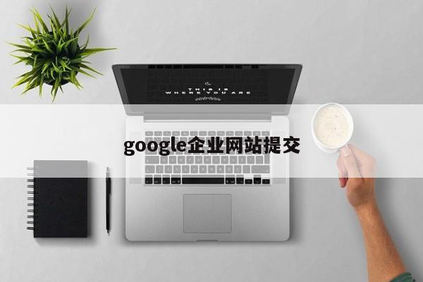 google企业网站提交