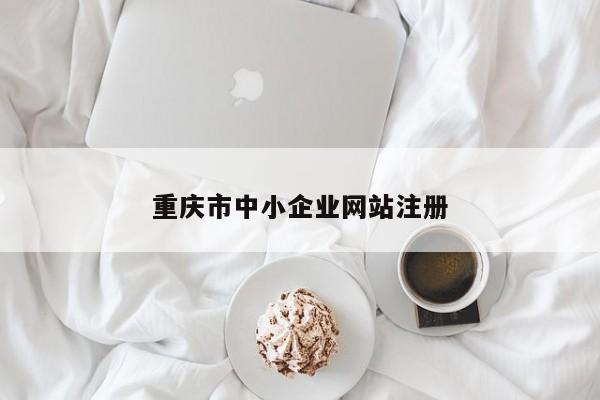 重庆市中小企业网站注册