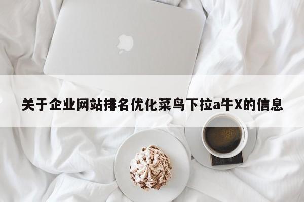 关于企业网站排名优化菜鸟下拉a牛X的信息